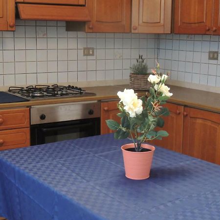 A Casa Di Lucia Bed & Breakfast Pisa Dış mekan fotoğraf